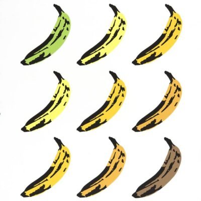 Original Food Collage by Rankin Willard | Pop Art Art on Paper | 15 Minutes of Fame (Bananas)