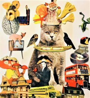 Original Animal Collage by Muriel Deumie | Pop Art Art on Other | collage fou fou