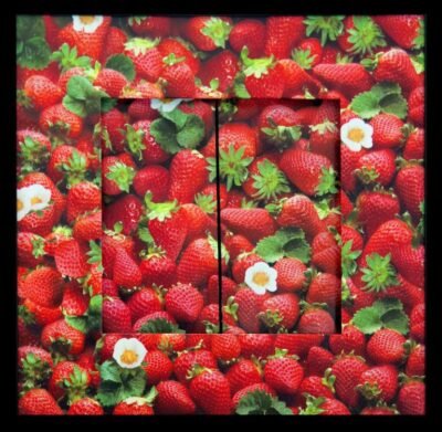 Original Food Collage by Saro Brancato | Pop Art Art on Plastic | Strawberry Fields Forever (natural-artificial)